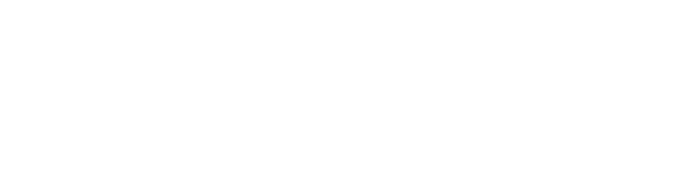 MAS Consulting